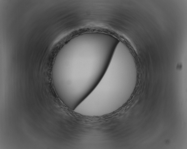 X0000096630919200802050930