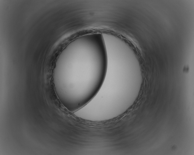 X0000096630920200802050930