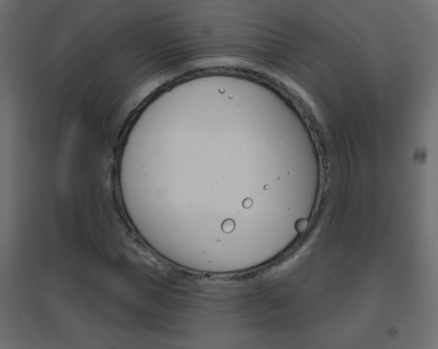 X0000096630921200802050930