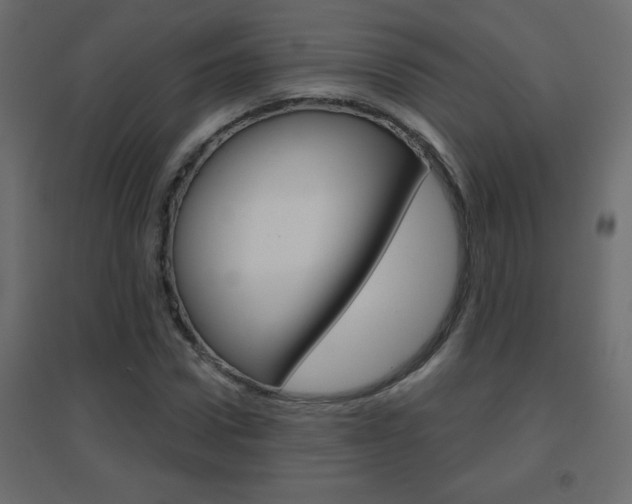 X0000096630922200802050930