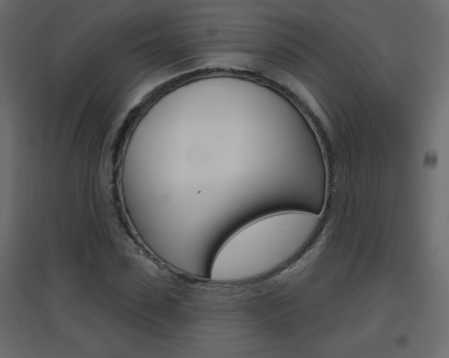 X0000096630923200802050930