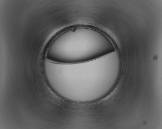 X0000096630926200802050930
