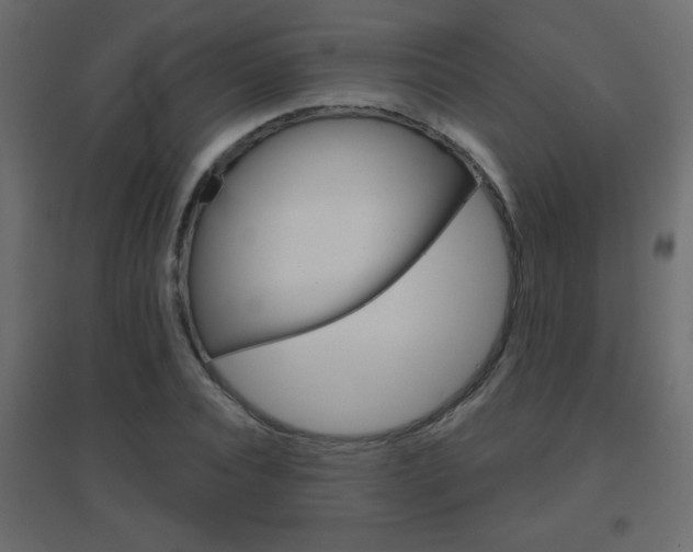 X0000096630928200802050930