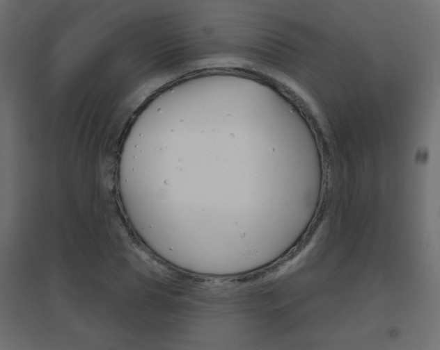 X0000096630929200802050930