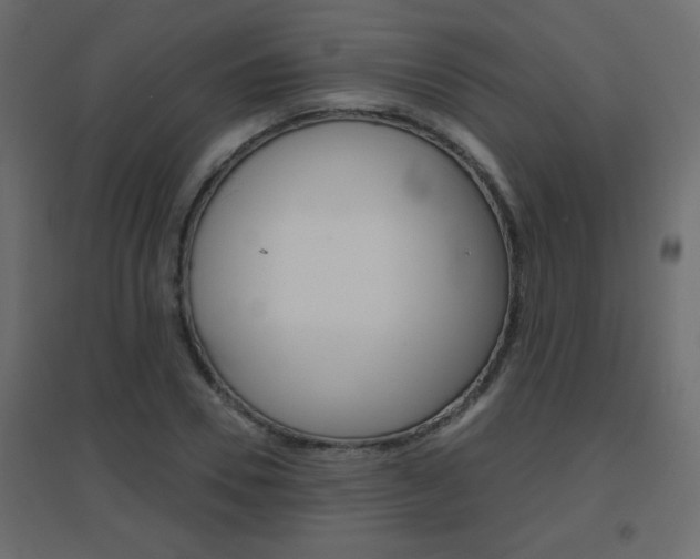 X0000096630930200802050930
