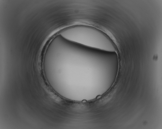 X0000096630931200802050930