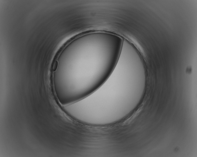 X0000096630932200802050930