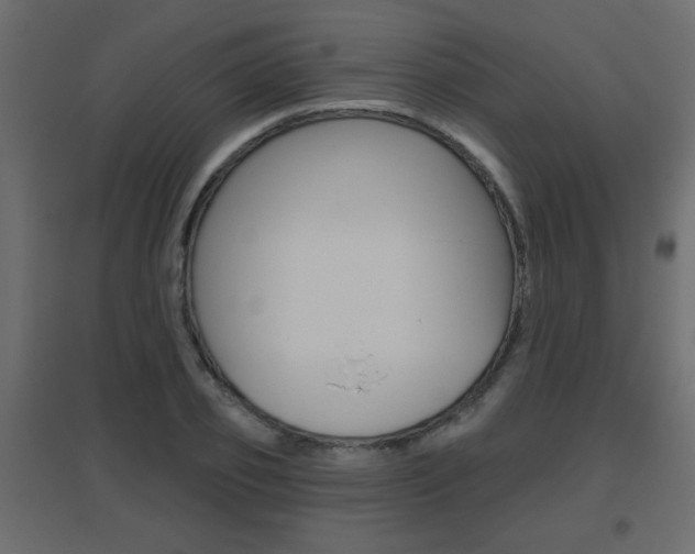 X0000096630933200802050930