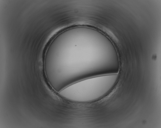 X0000096630934200802050930