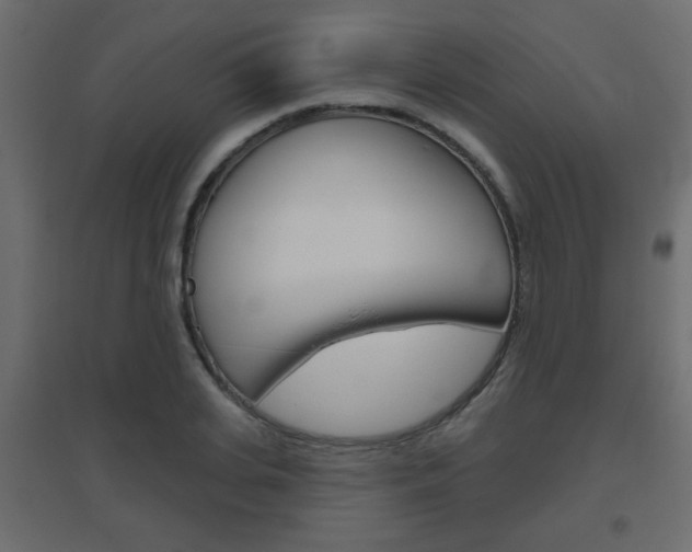 X0000096630935200802050930