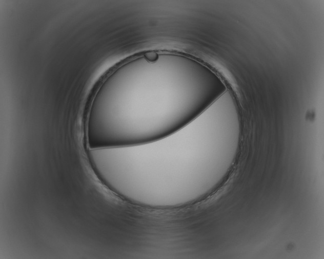 X0000096630936200802050930