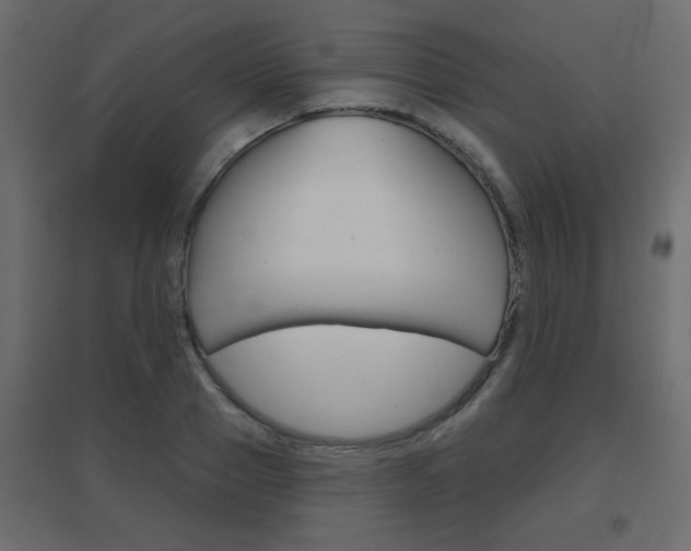 X0000096630937200802050930