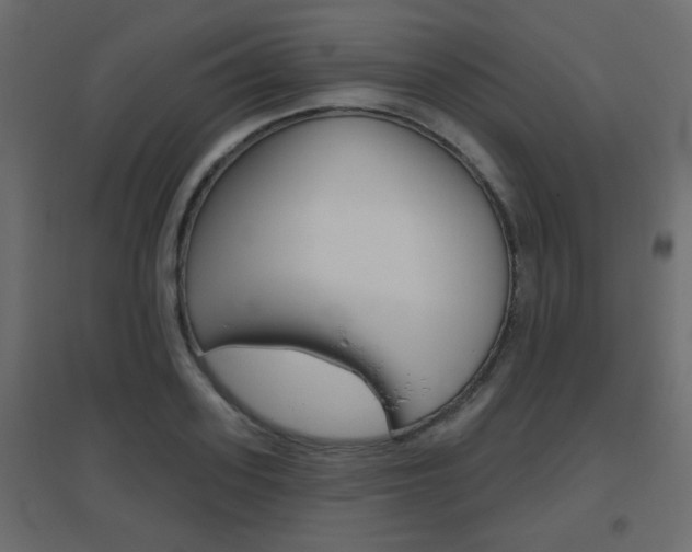 X0000096630939200802050930