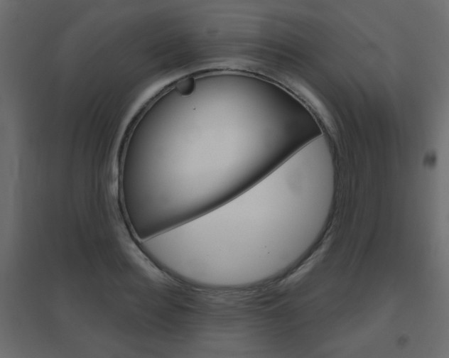 X0000096630940200802050930