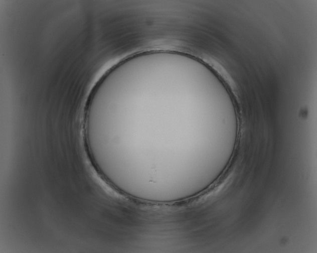 X0000096630941200802050930