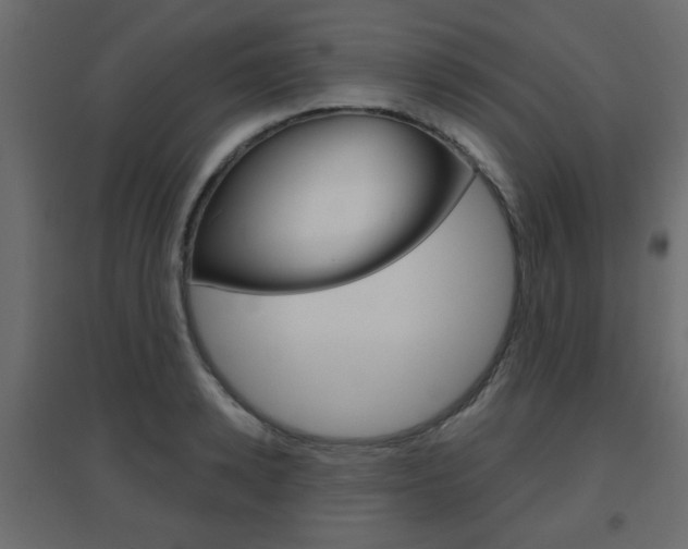 X0000096630942200802050931