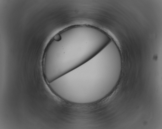 X0000096630943200802050931