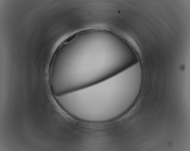 X0000096630944200802050931