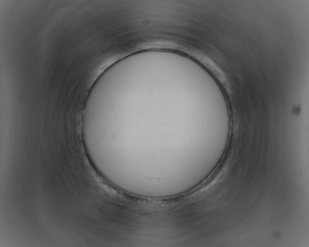 X0000096630945200802050931