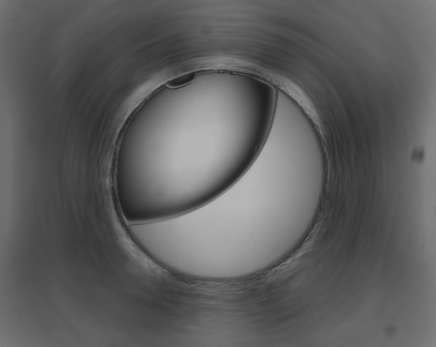 X0000096630946200802050931