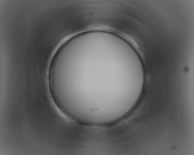 X0000096630947200802050931