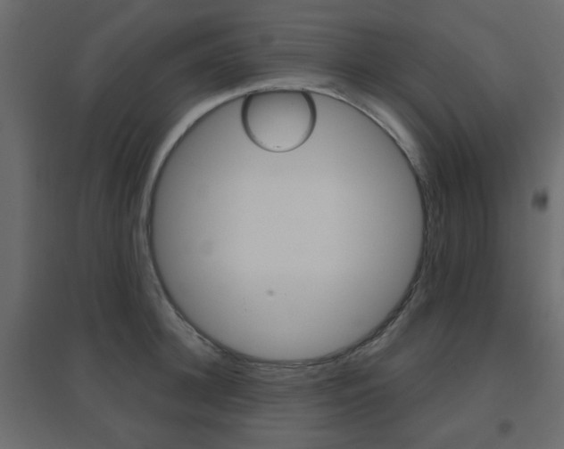 X0000096630948200802050931