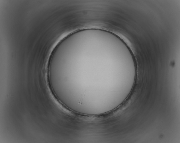 X0000096630949200802050931