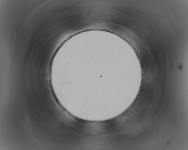 X0000096630950200802050931
