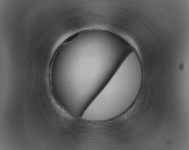 X0000096630952200802050931