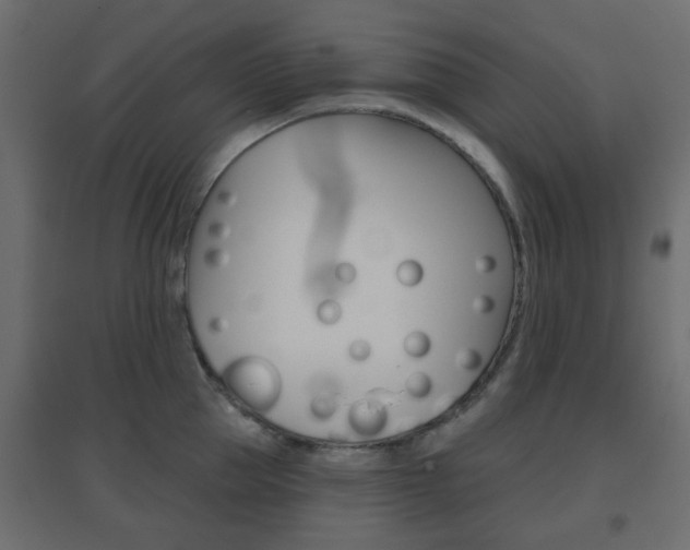 X0000096630953200802050931