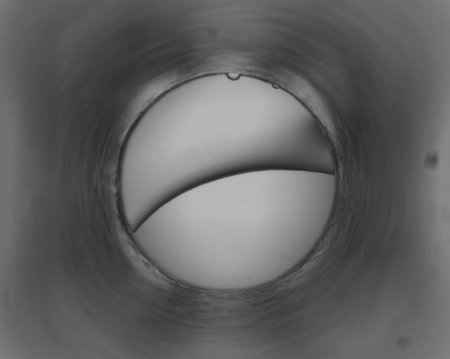 X0000096630954200802050931