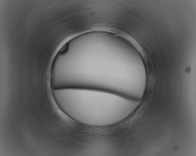 X0000096630955200802050931