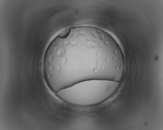 X0000096630957200802050931