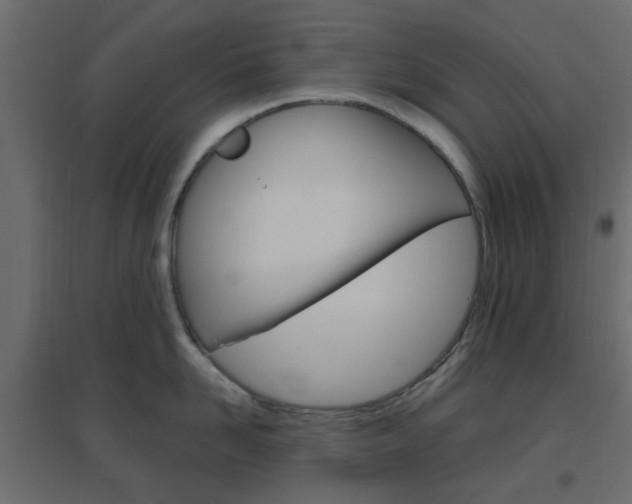 X0000096630958200802050931