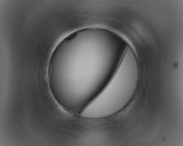X0000096630959200802050931