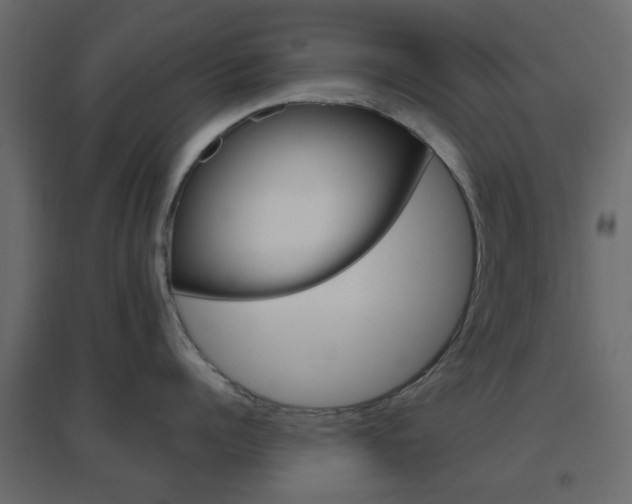 X0000096630960200802050931