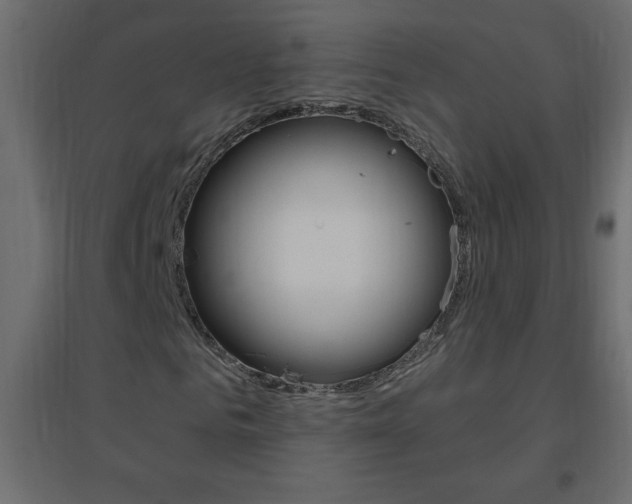X0000096630961200802050930