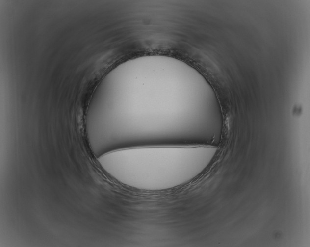 X0000096630963200802050930