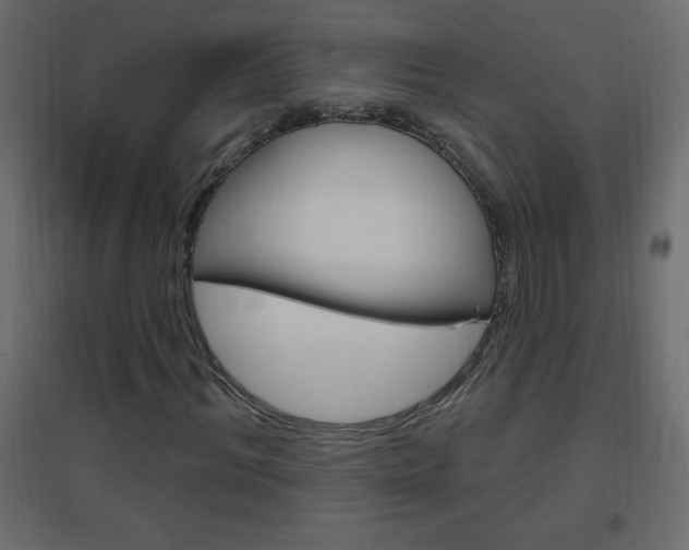 X0000096630964200802050930