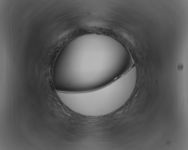 X0000096630965200802050930