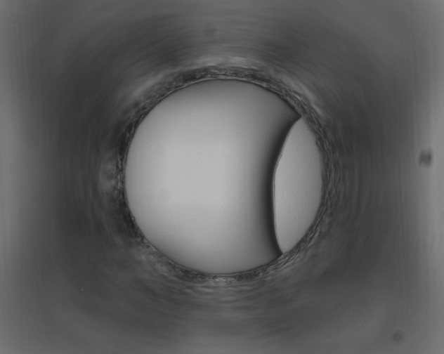 X0000096630966200802050930
