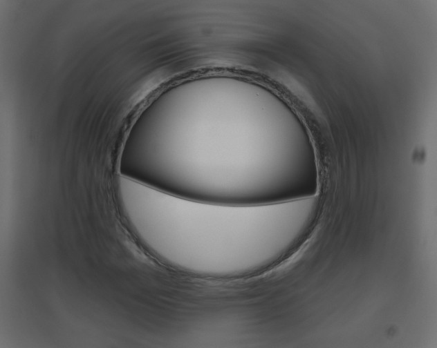 X0000096630969200802050930