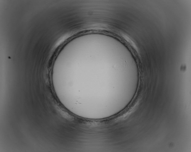 X0000096630970200802050930
