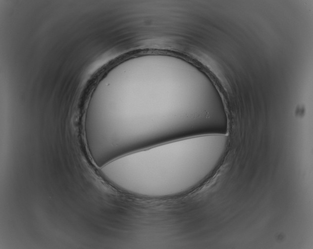 X0000096630971200802050930
