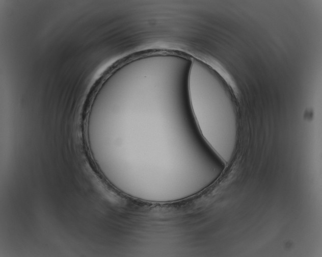 X0000096630972200802050930