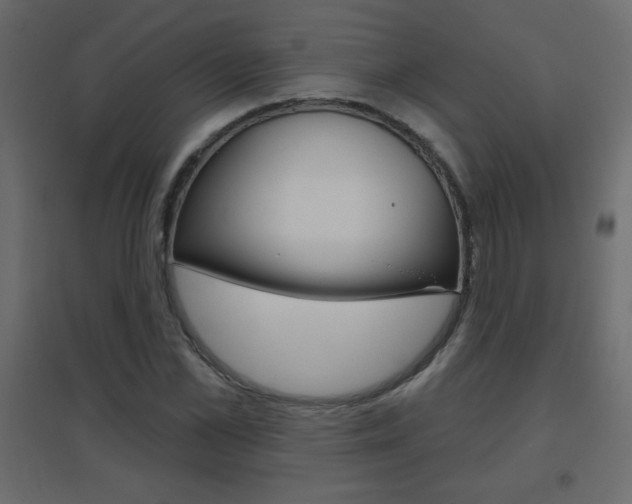 X0000096630973200802050930