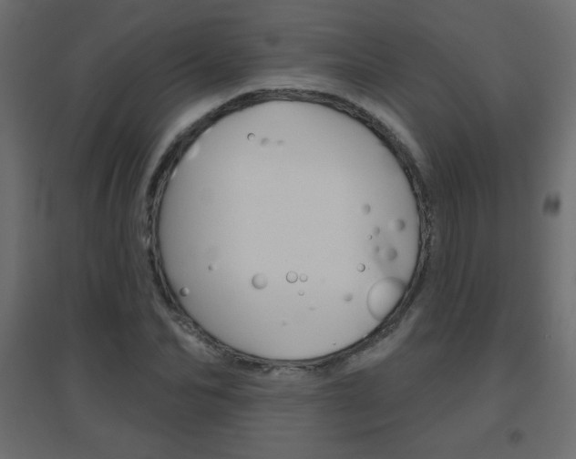 X0000096630974200802050930