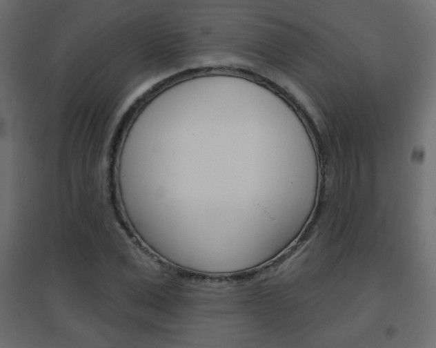 X0000096630975200802050930