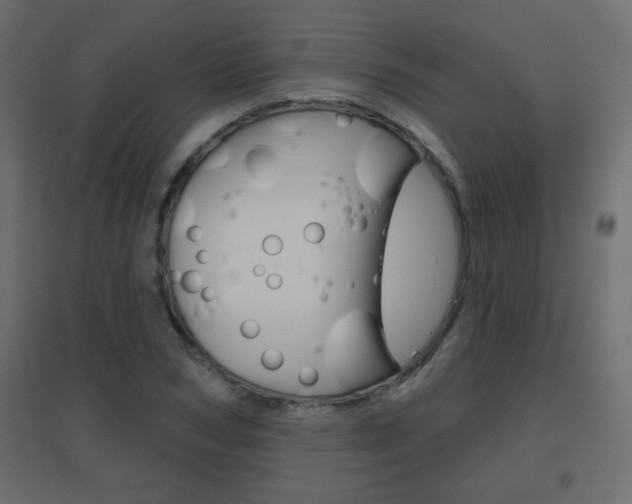 X0000096630978200802050930
