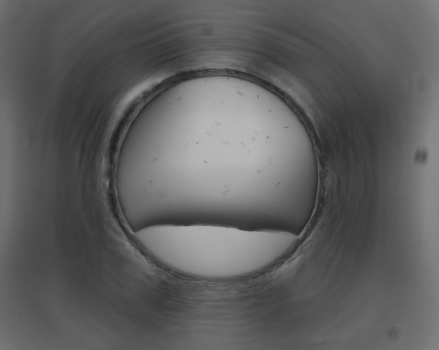 X0000096630979200802050930